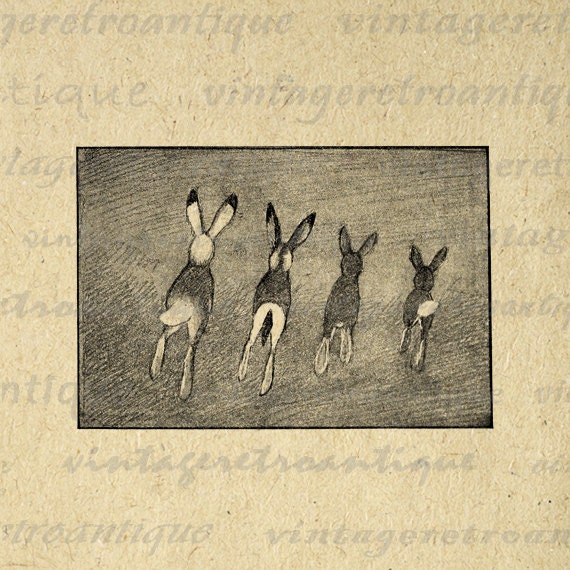 Rabbits Image Digital Graphic Easter Spring Download Bunny Printable Vintage Clip Art for Transfers Printing etc HQ 300dpi No.1125