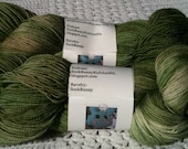 Miracle Superwash BFL Fingering Sock Yarn - BEACH GLASS