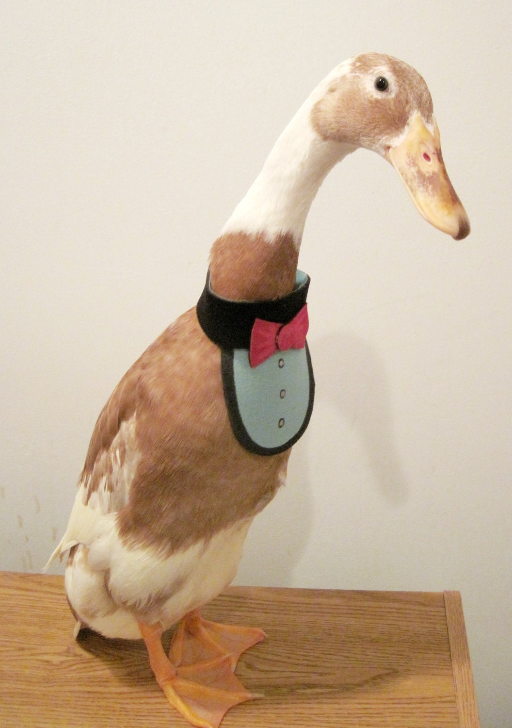 PartyFowl "Bow Tie Bib" Costume for Pet Ducks, Chickens, & Geese