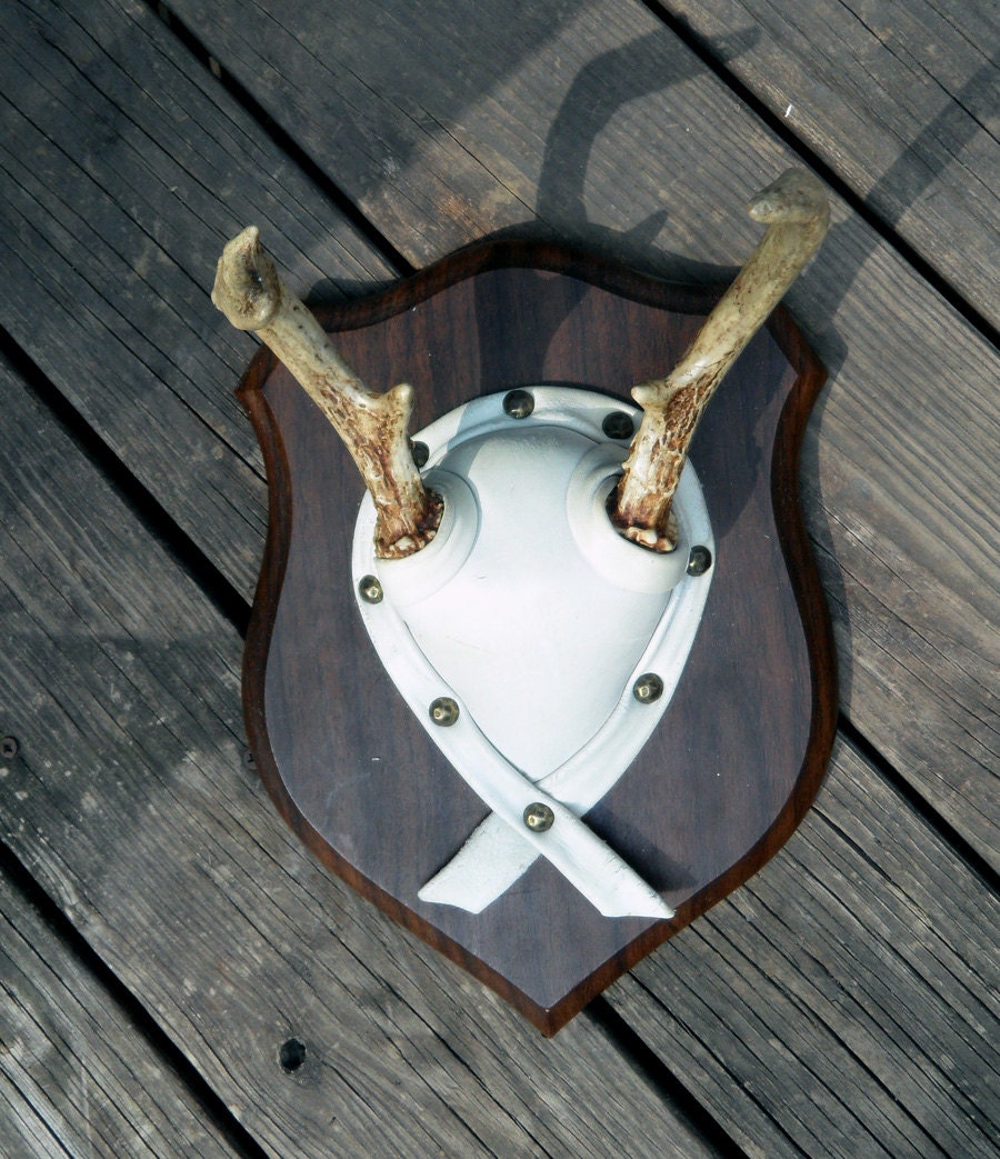 Small Vintage Mounted Deer Antlers, Antler Trophy 1976
