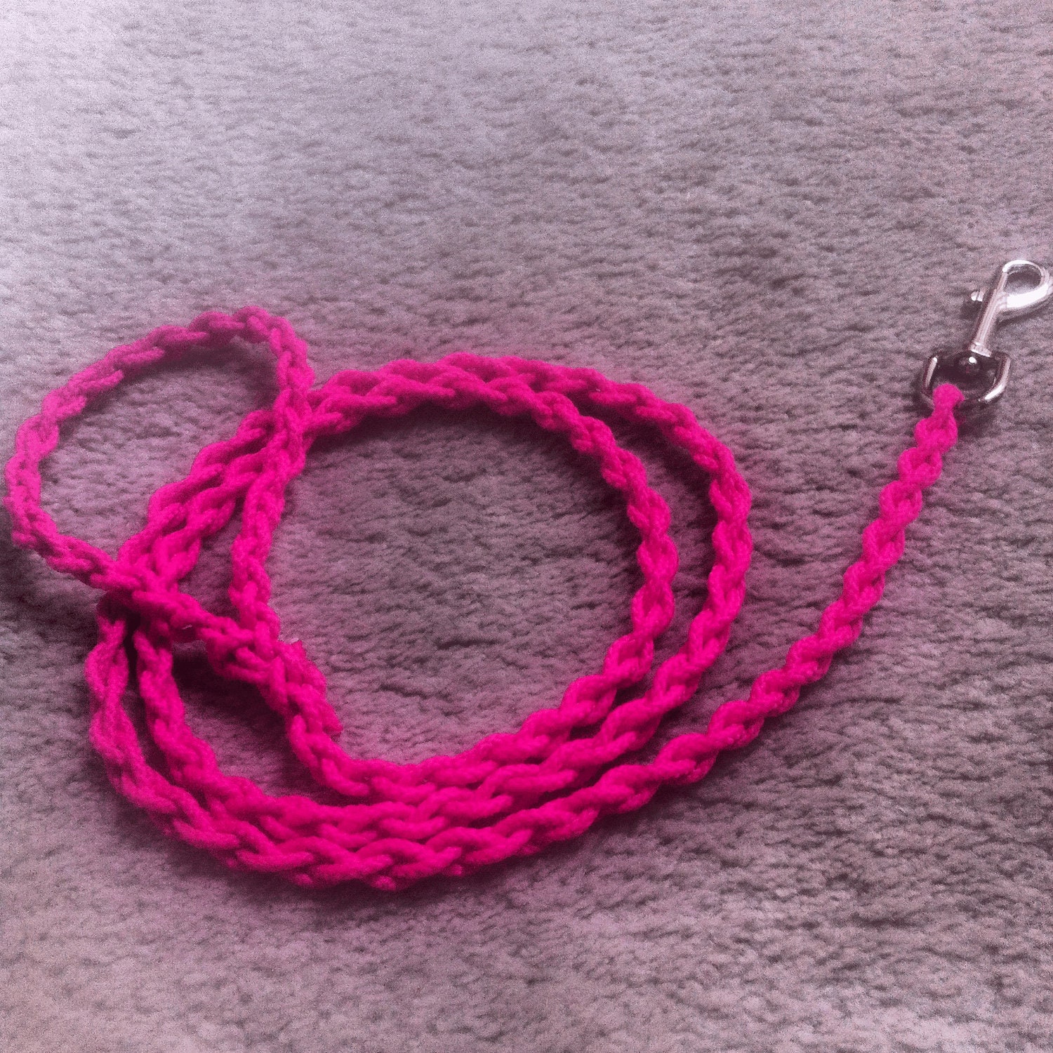 Braided Dog Leash