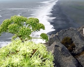 Beach Surf Nature Photography, Reynisfjara Iceland, Ocean View Landscape
