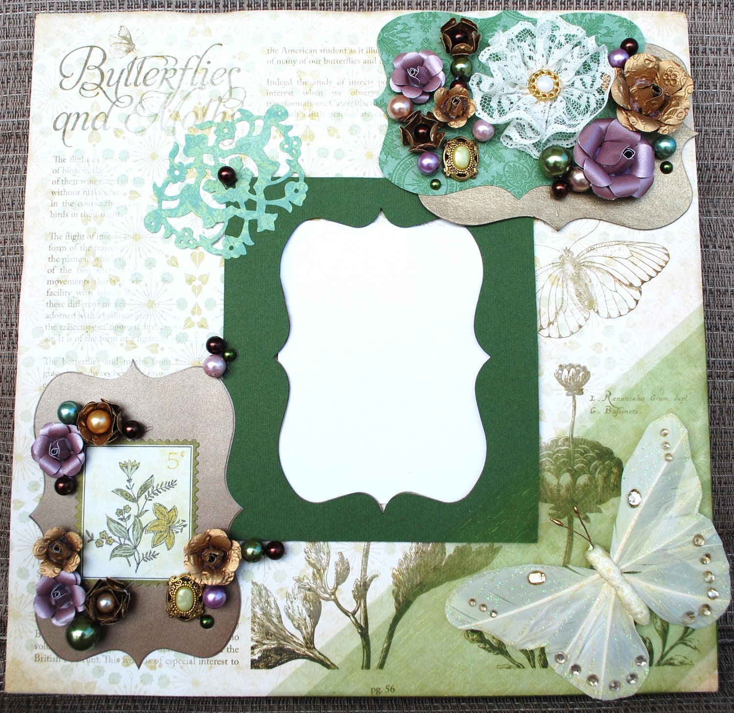 Mixed Media Photo Canvas Art "Butterfly Beauty"