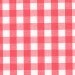 1/4" WATERMELON Fabric Finders Gingham