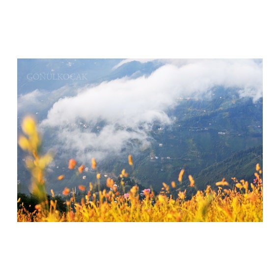 Landscape photography, Nature photography, Landscape, Art, Color, Art, Wall decor,  Art photography, Sale photography, 10''x 15 ''inch