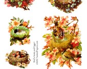 Twisted Papers Vintage Digital Victorian Nature Illustrations, Bird's Nest and Eggs Collage Sheet 001
