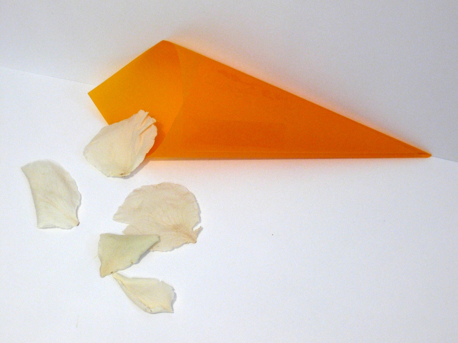 Pumpkin Vellum Cones - un...