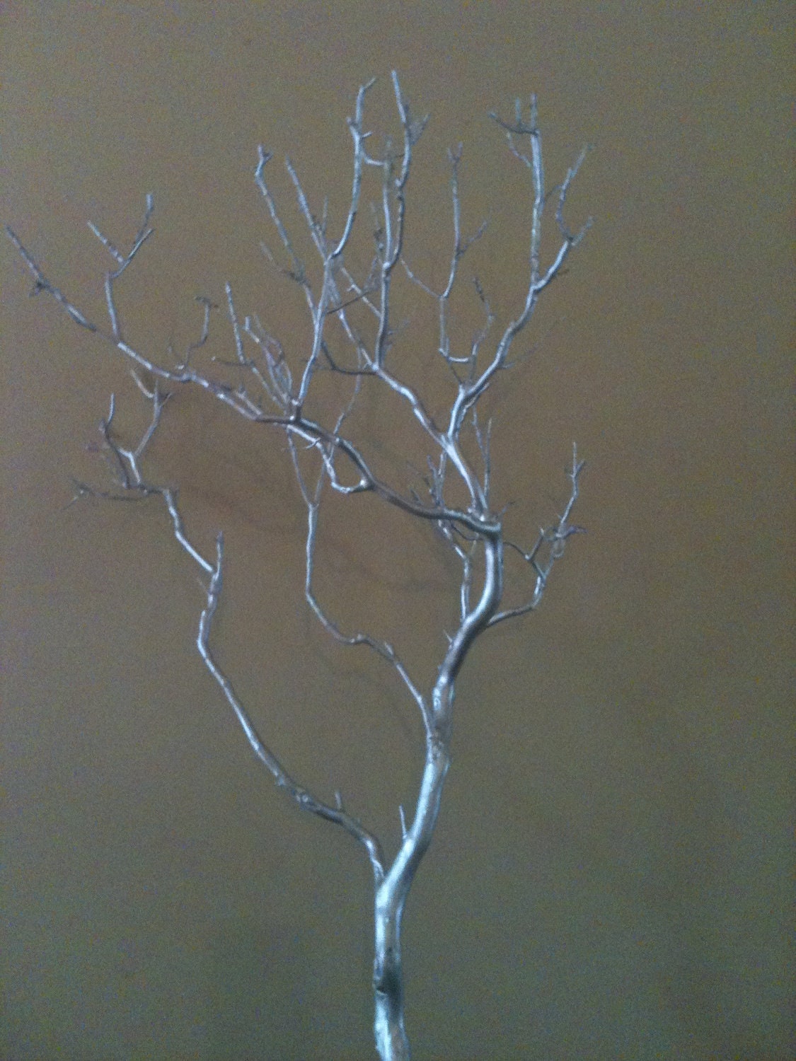 Silver Manzanita Centerpiece branches, 4 branches 18-24" tall