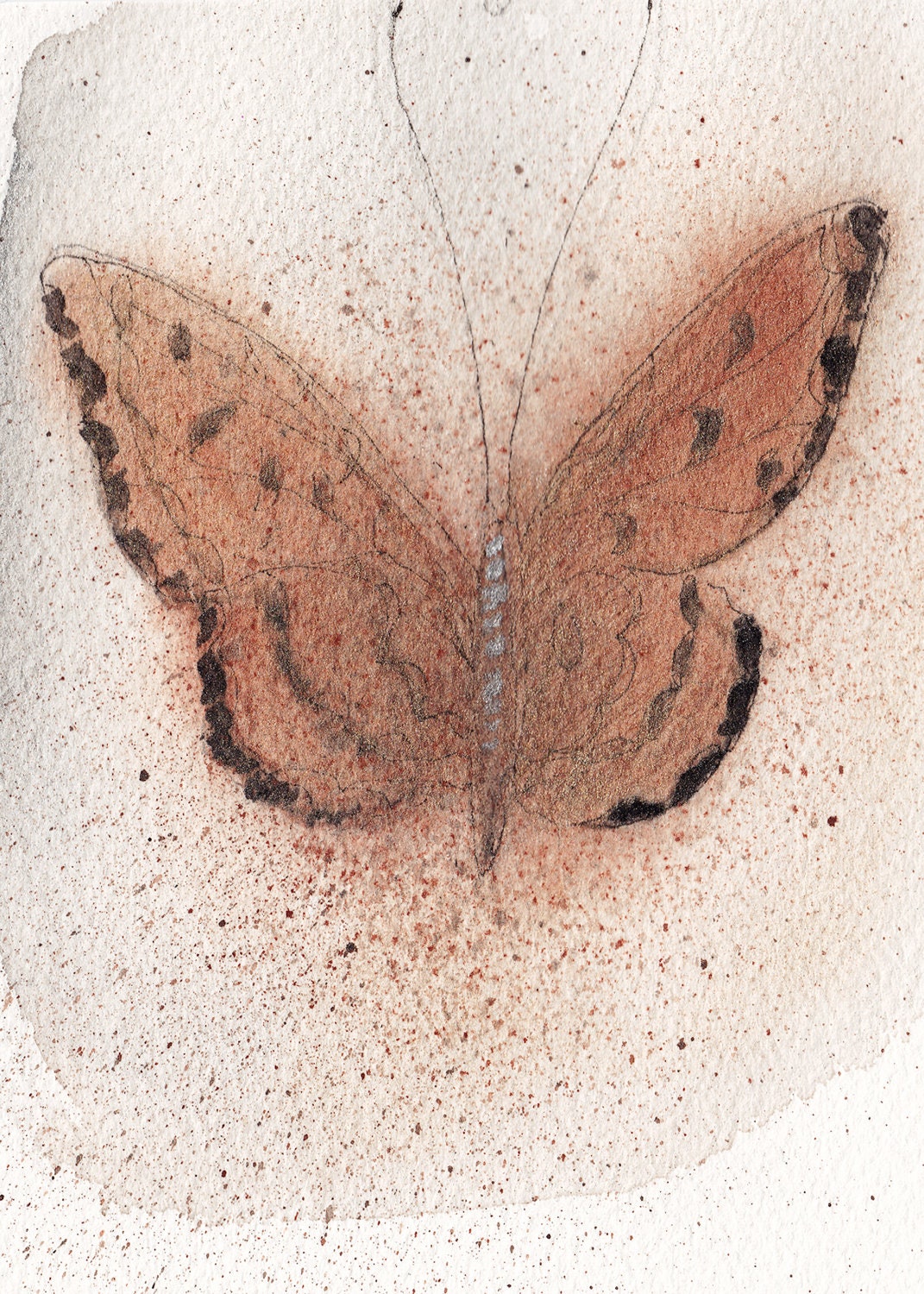 amber butterfly 5x7 print