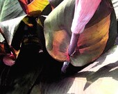 Art -- CANNA LILY Fine Art Print Still Life Contemporary Nature Tropical Flowers Home Decor 8 x 10 Inches Free US Shipping