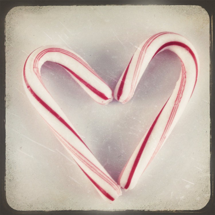 Christmas Love - 5 x 5 Fine Art Photograph - Candy Cane Heart Red and White Christmas home decor print