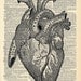 Vintage Book Art Print - Anatomical Heart Art - Upcycled Book Print - Love Heart - Anatomical Medical Diagram - Dictionary Art Print