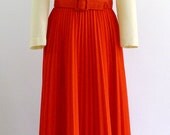 Ruffles and Pleats Vintage Dress