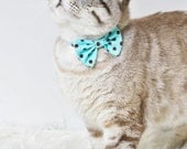 Robin Egg Blue With Chocolate Dots Breakaway Cat Bow Tie Collar