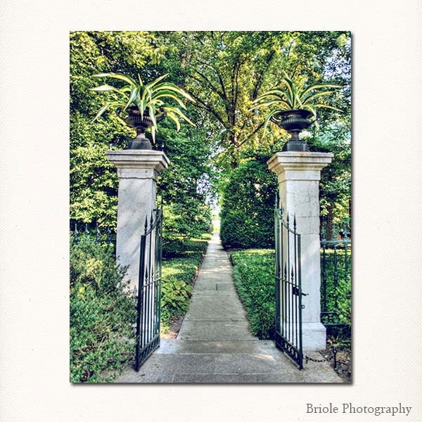 Through the Garden Gate Fine Art Photograph, 8"x10" Affordable Nature Print. St. Louis Botanical Garden.