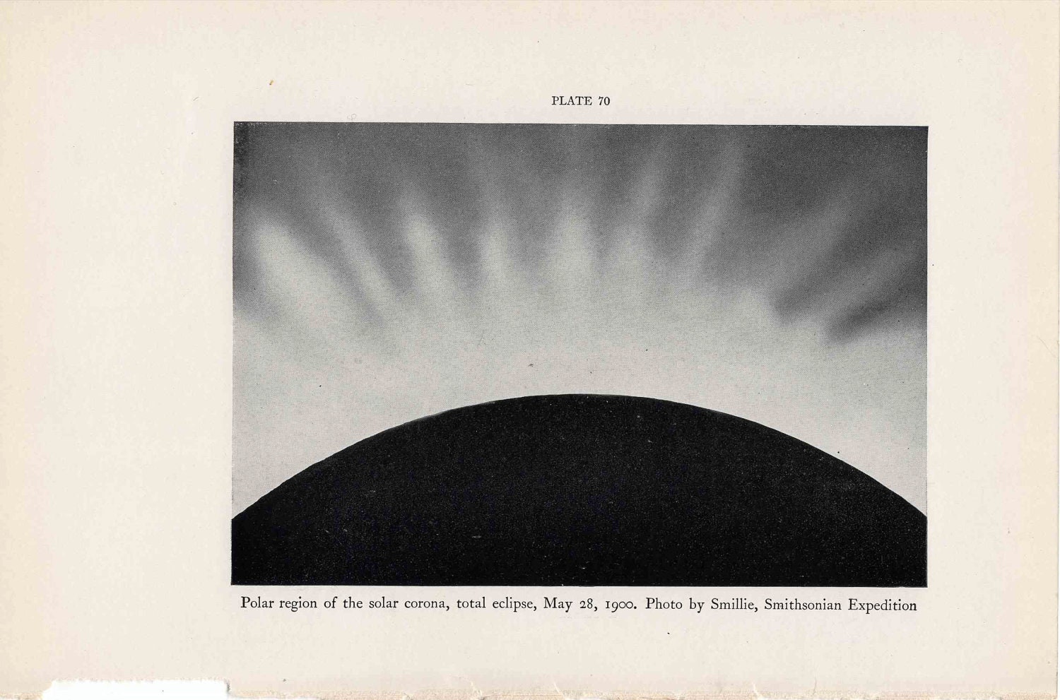 1934 solar eclipse original vintage celestial astronomy print - polar region of the solar corona