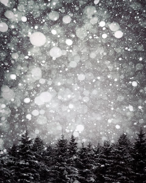 Black and White Winter Photograph- Charcoal, Slate, Gray, Nature, modern, wall decor, Night snow 8x10 - Raceytay