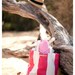 Malibu Beach Bag