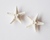 Starfish Shoe Clips Beach Bride Shoe Clips Beach Wedding Shoe Clips Beach Bridal Accessories Beach Bridesmaids Gifts Mermaid Shoe Clips Cute