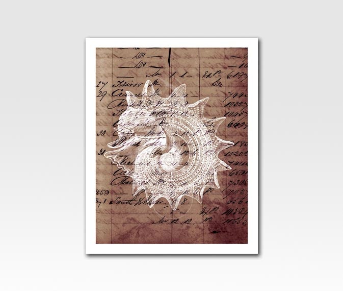Art Print A4 Sea Shell Print on Vintage Ephemera Brown White Home Décor A4 Print Nursery Art Original Design by Adidit Print no. 100