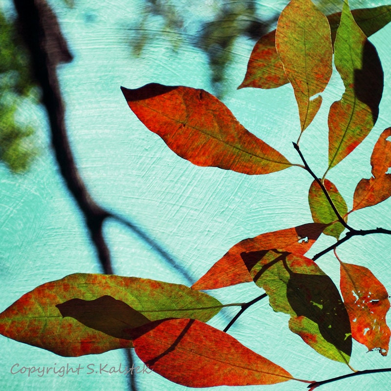 Nature Photography Tree Wall Art Leaves and by KalstekPhotography