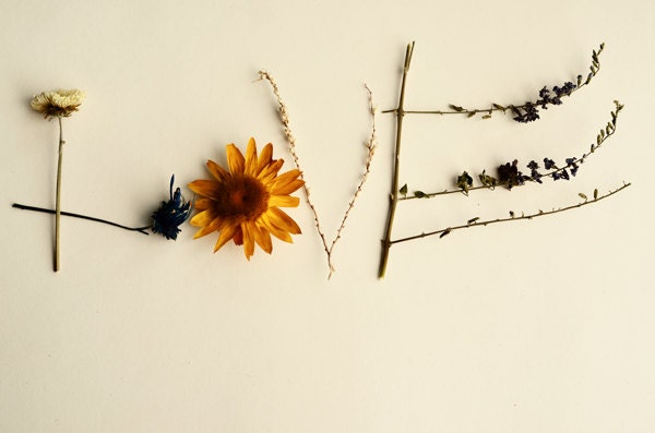 Love whimsical photograph-valentines day, floral, botanical, dried flowers, girly, nursery decor, fine art photography, 8x10 print - dullbluelight