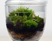 Moss Terrarium // Little People // Jogger // Apothecary Jar// Glass Planter // Living Home Decor // Gift Ideas