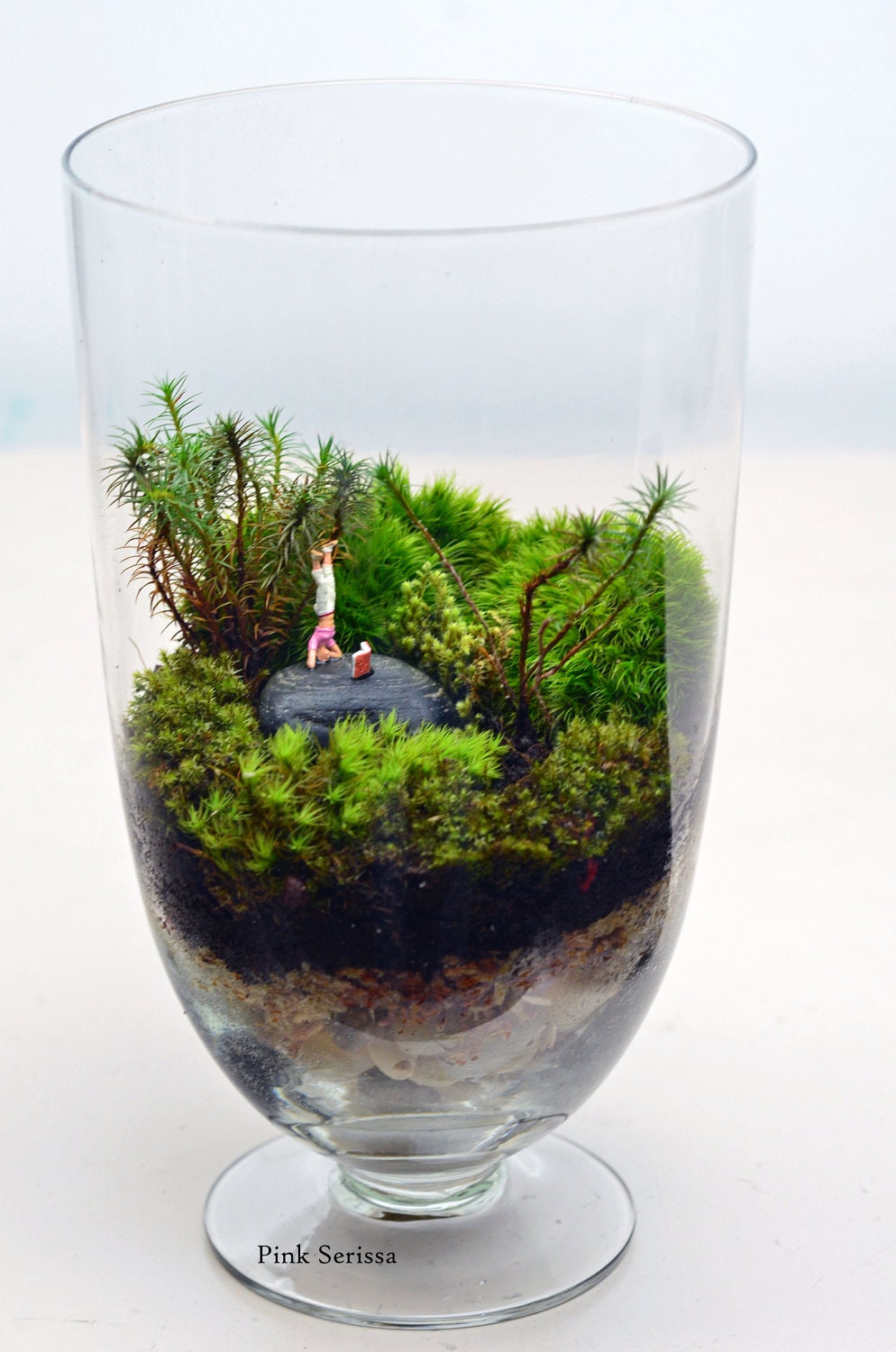 Moss Terrarium // Little People // Headstand // Apothecary Jar // Living Home Decor // Green Gift