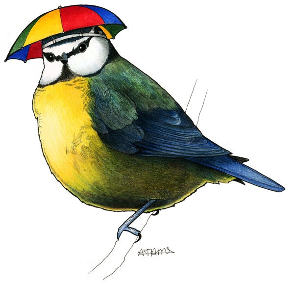 Blue Tit in an Umbrella Hat  - A4 archival quality print