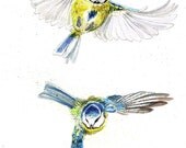 Original A3 Bluetits "Catchy Kissy" Mixed Media Painting