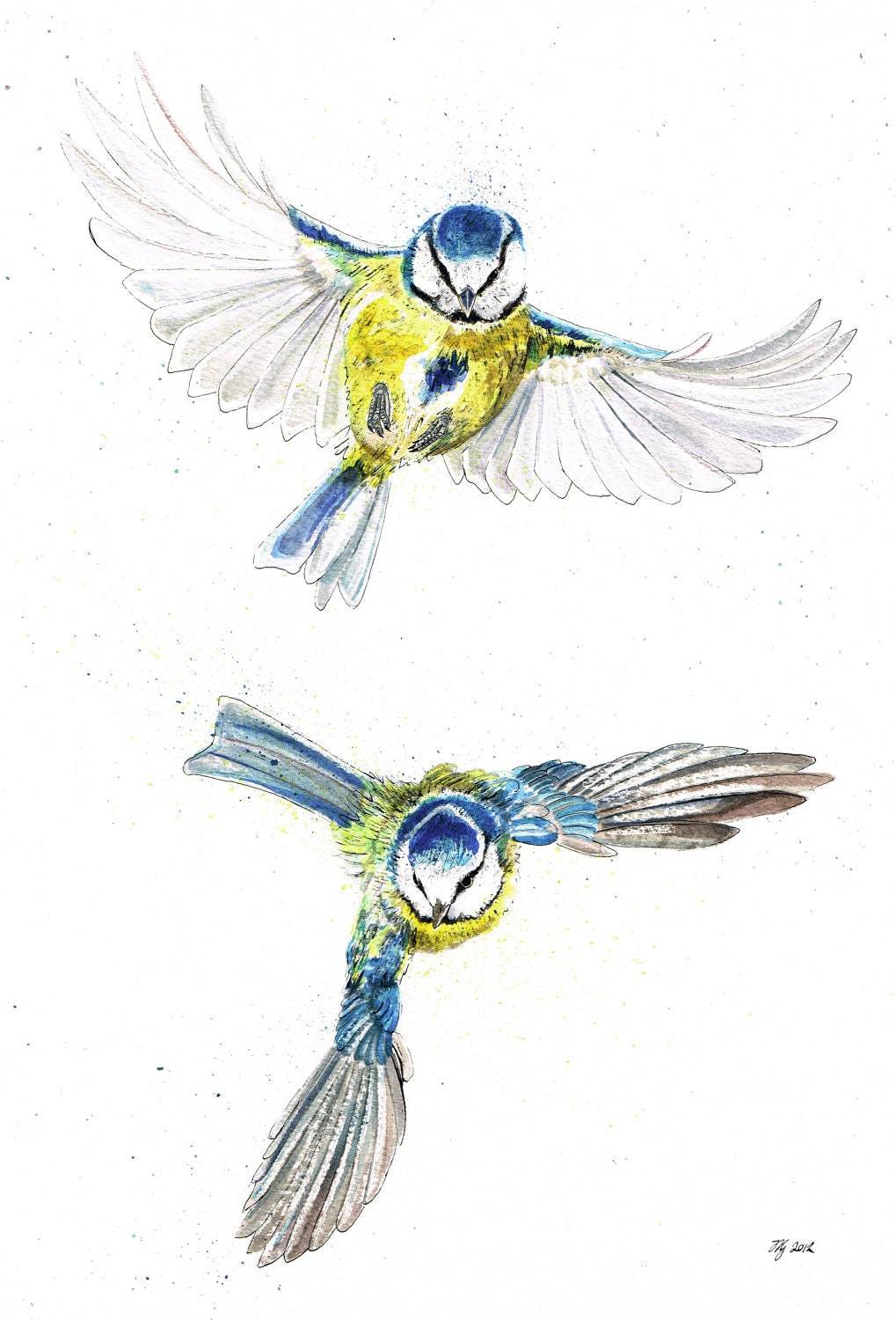 Original A3 Bluetits "Catchy Kissy" Mixed Media Painting