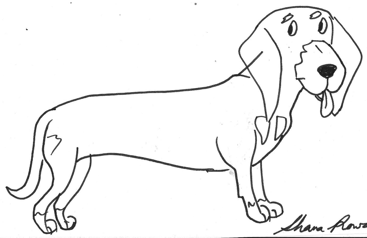 dachshund sketch