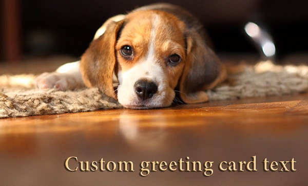 Custom greeting card with cute Beagle puppy, custom text, greeting card, Happy Birthday card, small puppy, folded card, A6 size