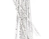 25 Birch Paper Straws