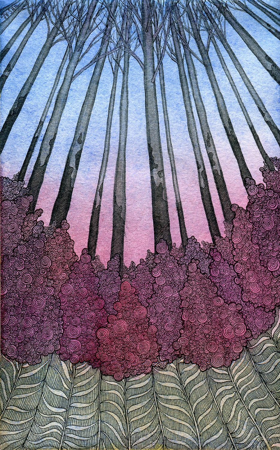 Print picture - Fireweeds -  7 x 10