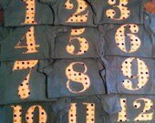 MONTHLY ONESIE SET, month to month, custom set of 12 onesies, baby shower gift
