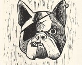 Chien Pirate 2007