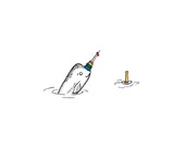 Playtime - Narwhal Print