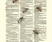Bee Art Print on Antique Dictionary Page, Vintage Bee Illustration, Mixed Media Collage Art Print, Wall Art, Wall Decor