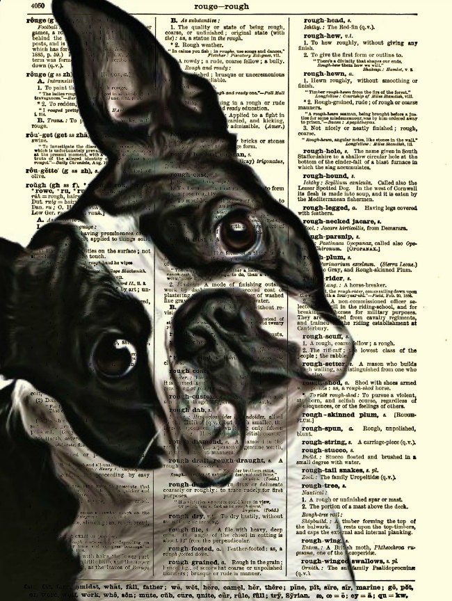 Boston Terrier Dictionary Art Print, Buy 2 Get 1 Free, Wall Decor, Art Print, Dictionary Page Art, Home Decor