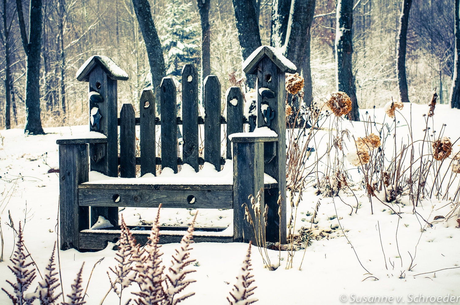 Nature Photography, Rustic Garden Bench, Winter, Matted Print and Photo Card, Shabby Chic, Vintage Style, Green and White