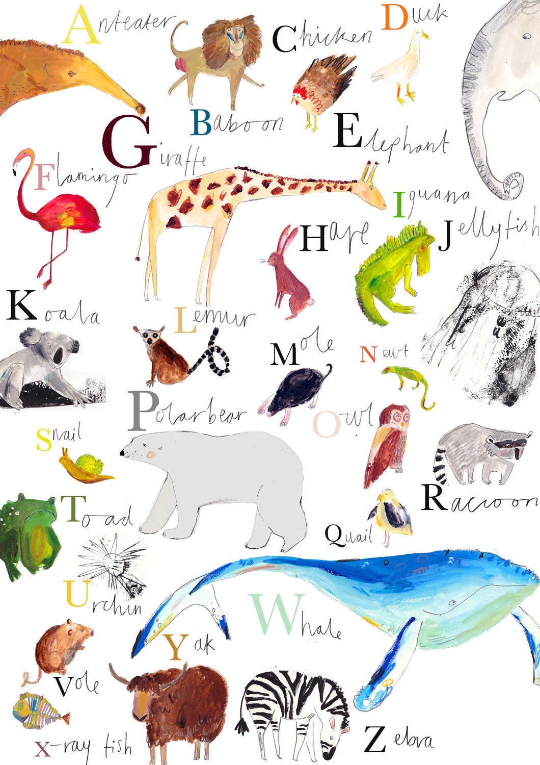 A-Z Animal Wall Chart. Limited Edition Print by by FayeBradleyShop