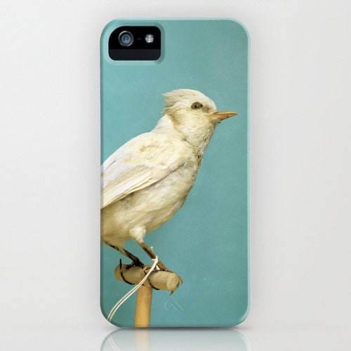 iPhone 5 Cell Phone Case - Natural History Photo - Albino Blue Jay