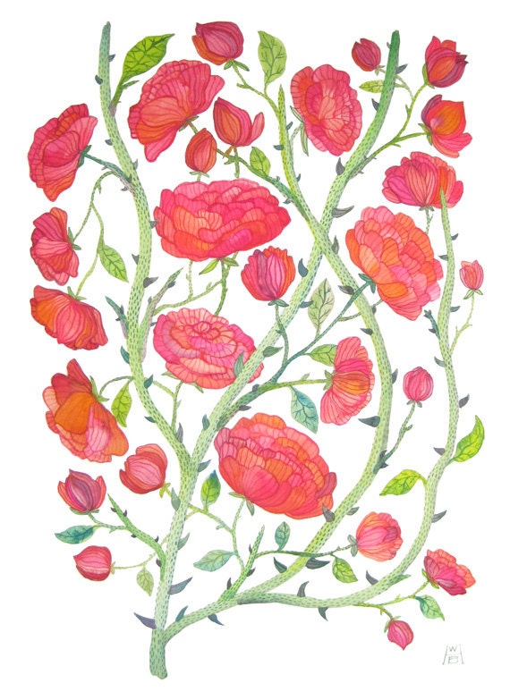 rose bramble botanical large original gouache watercolor painting