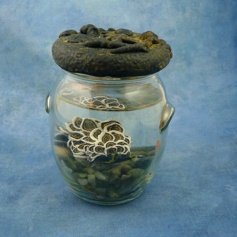 Cyerce Nigricans Nudibranch Perma-Pet, Mixed Media Sea Slug Sculpture