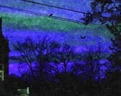 Blue Abstract Sunset print 8 x 10 in, spooky nature scene, silhouetted trees surreal sunset watercolor effect