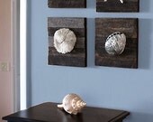 Beach Decor of Coral on driftwood panel for Coastal wall Decor Mushroom Coral 1