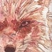 Rust Fox  8.5 x 11 print of hand painted detailed watercolour artwork in deep rich surreal & psychedelic orange red salmon pink earth tones