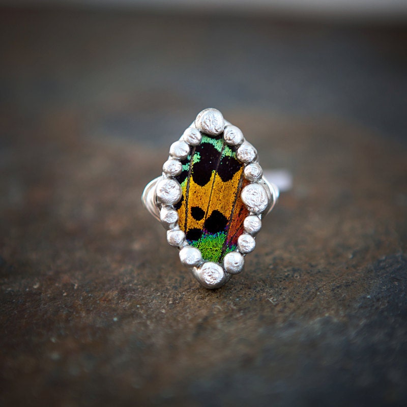 Sunset Rainbow- Genuine Madagascan Sunset Moth Ring size 6.5