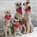 Prairie Dog - Meerkat Country Calico Quilty Critter - Papa Size with Guitar